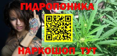 гидропоника Лесосибирск